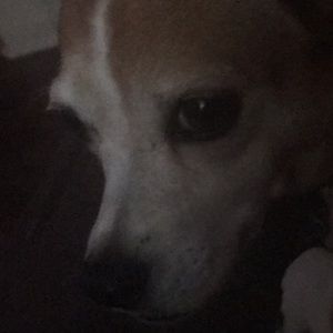 Meet your Posher, Maritza